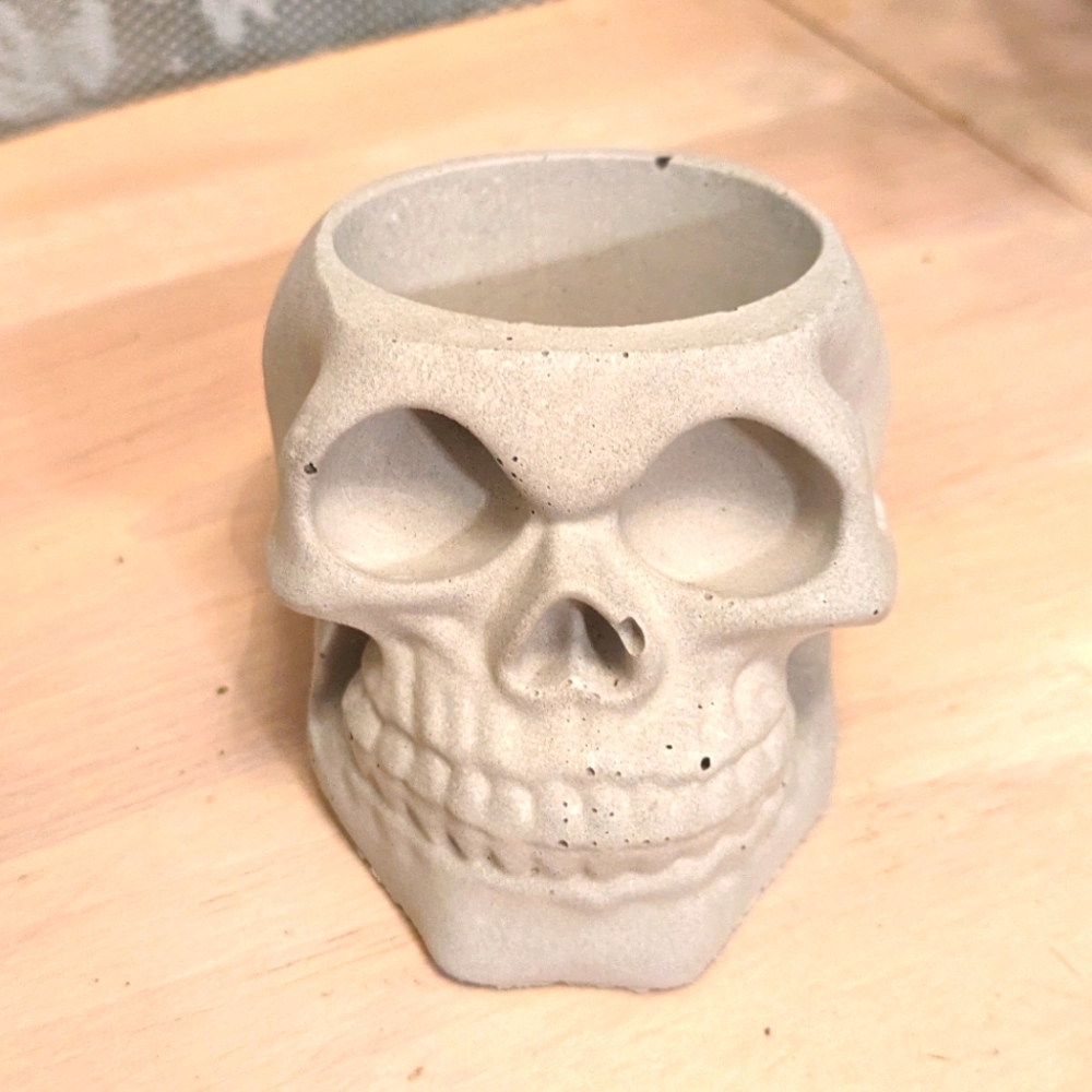 Handmade Cement Skull Succulent Planter